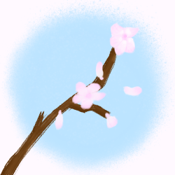 Cherry Blossom CC